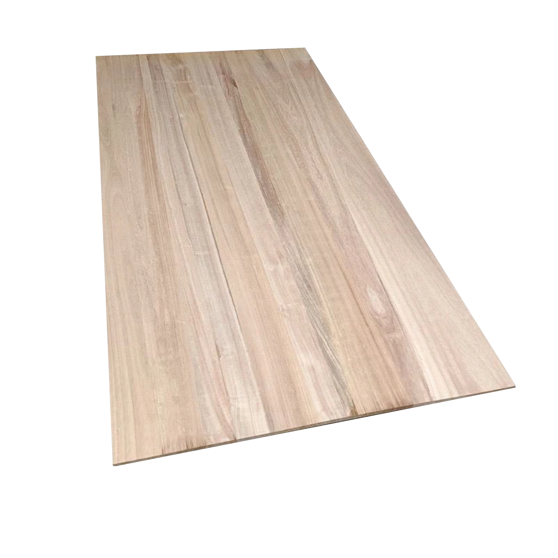 Paulownia de 4x8 Pies 1